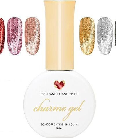 Daily Charme Holiday Sparkle Cat Eye Gel Nail Polish 6 Colors Set with Magnets 90ml