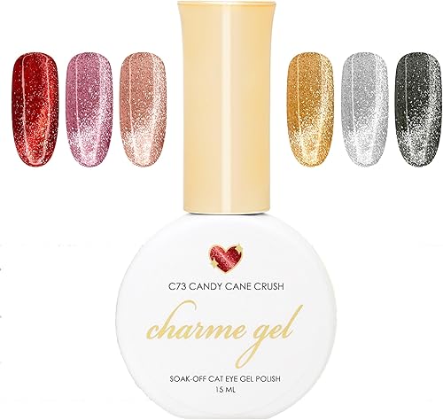 Daily Charme Holiday Sparkle Cat Eye Gel Nail Polish 6 Colors Set with Magnets 90ml