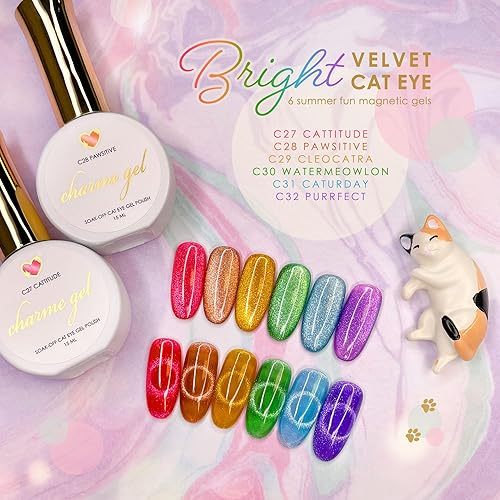 Daily Charme Bright Velvet Cat Eye Magnetic Gel Nail Polish 6 Colors Set with Magnets